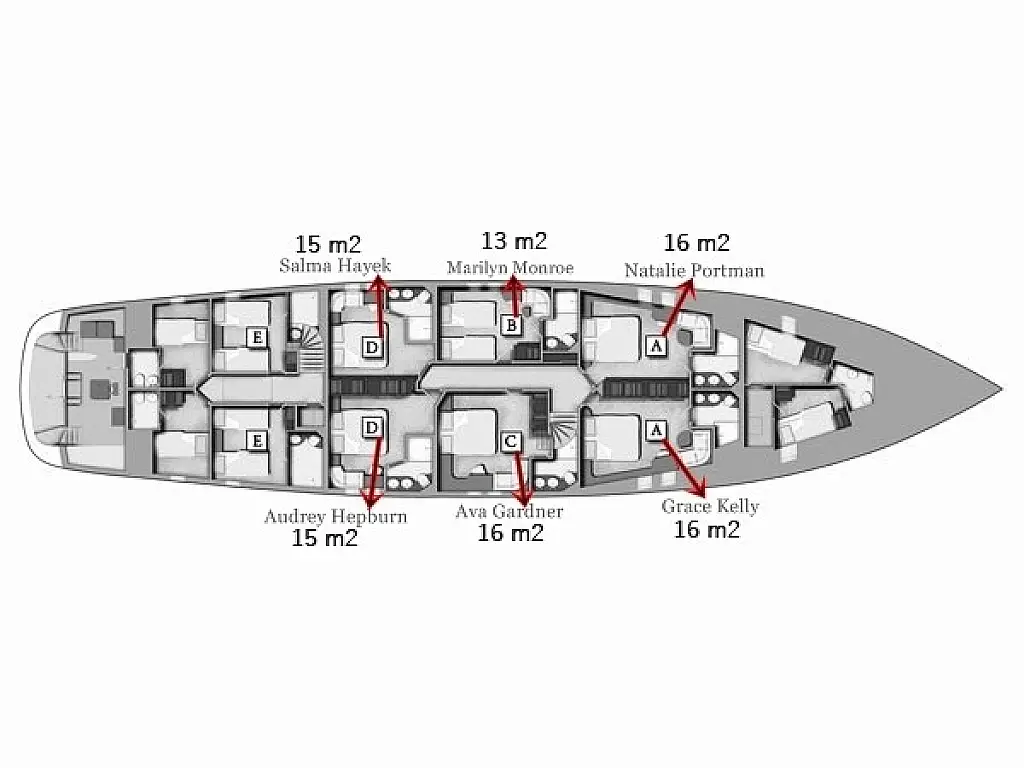 Luxury sailing yacht Navilux - Navilux  - Layout image